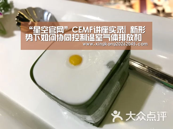 “星空官网”CEMF讲座实录| 新形势下如何协同控制温室气体排放和大气雾霾(图2) 星空官网