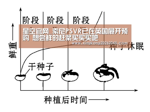 星空官网